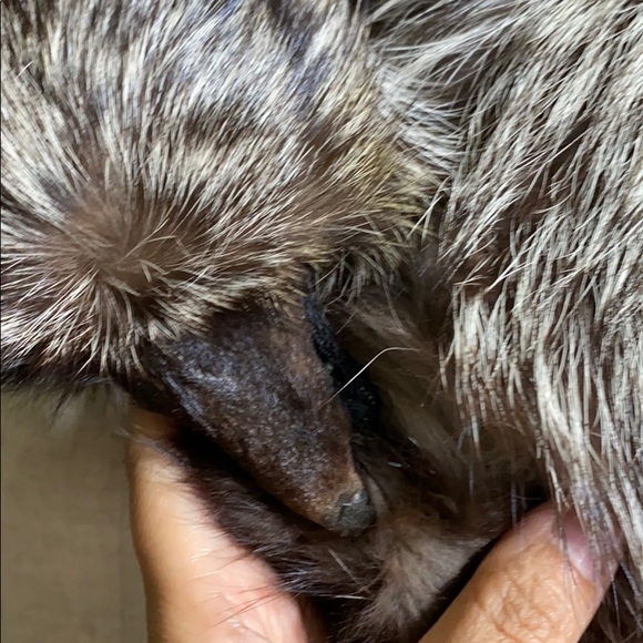 🖤🦊Real fox💕Vintage fur muffler
